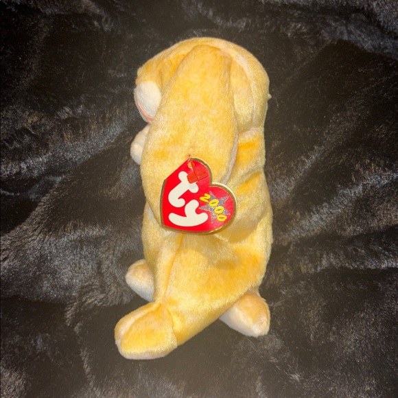 Grace the Praying Rabbit - Picture 4 of 6